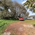 La Casita De Abuela Paula Valleseco
